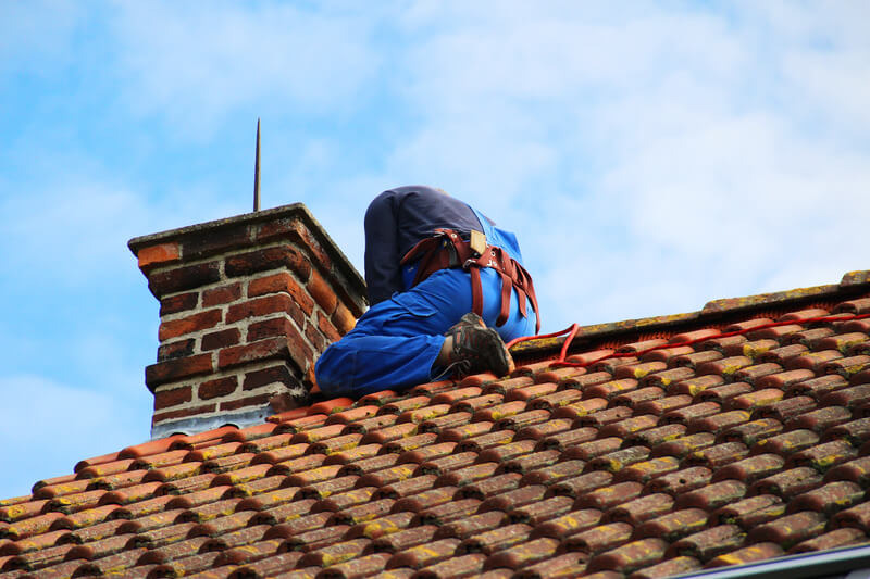 Chimney Animal Removal